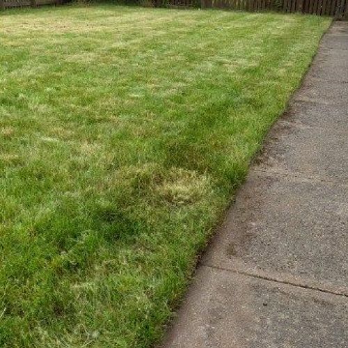 Paving and Law Maintenance