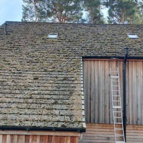 Roof Cleaning